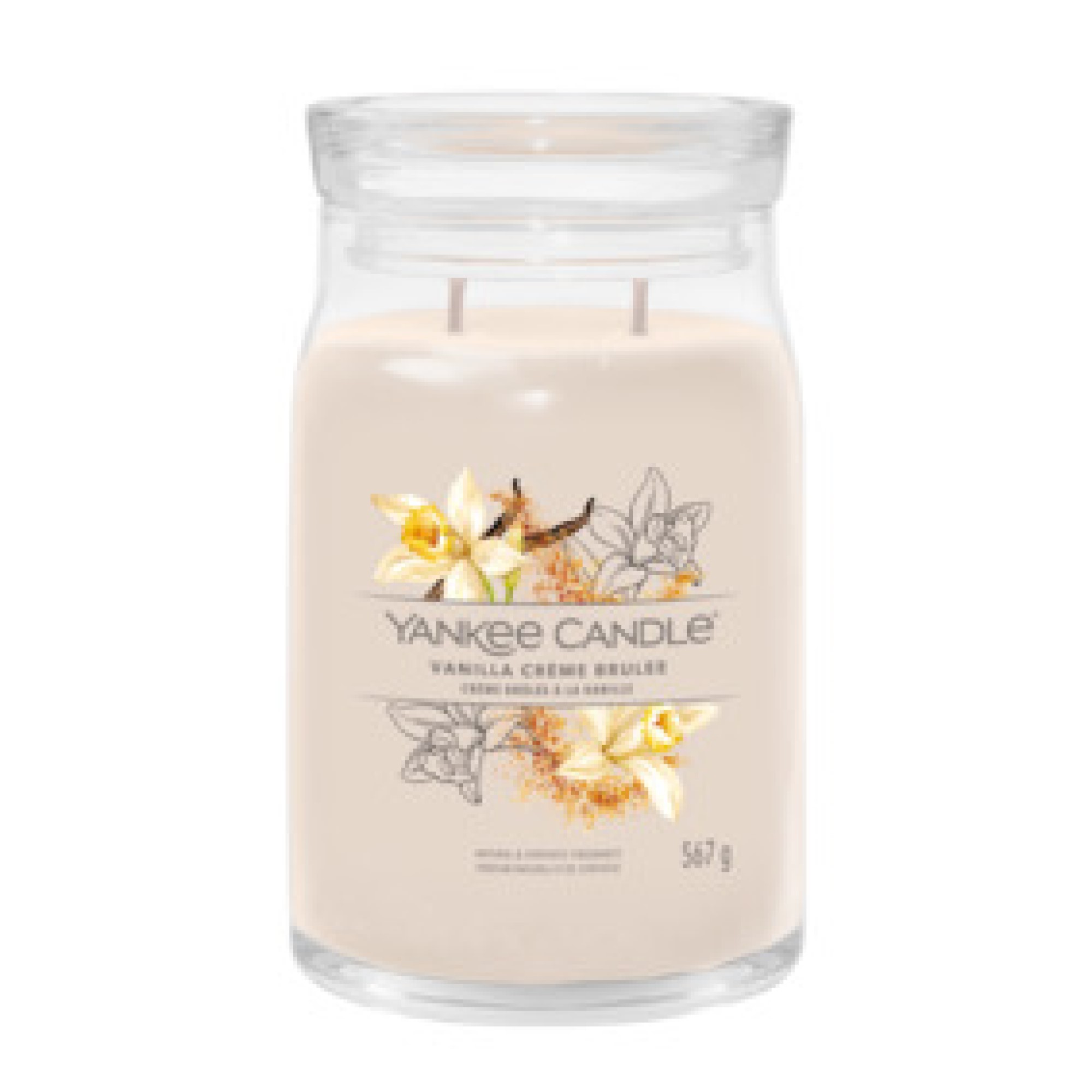 Vanilla Crème Brûlée- Signature Large Jar Candle - The Candle Scentre
