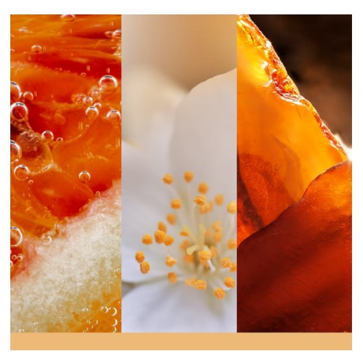 NEW-Glistening Leaves Signature Small Tumbler - Image 2